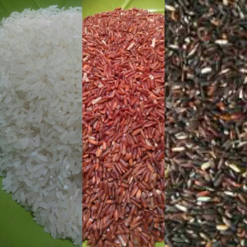 jual beras organik